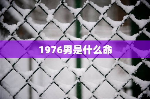 1976男是什么命