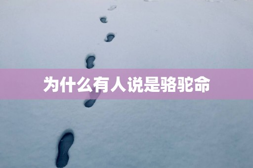 为什么有人说是骆驼命