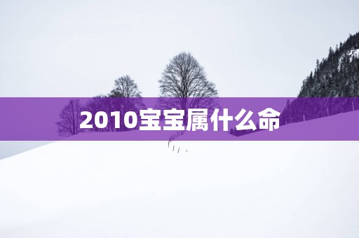 2010宝宝属什么命