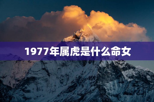 1977年属虎是什么命女