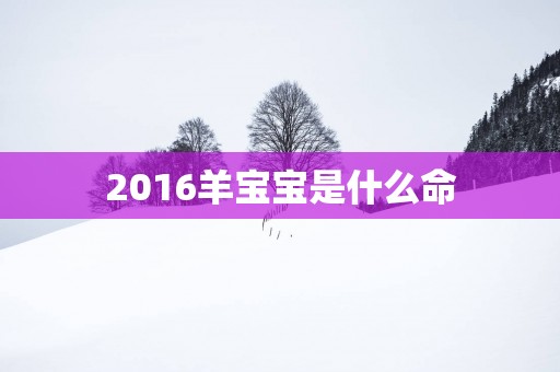 2016羊宝宝是什么命