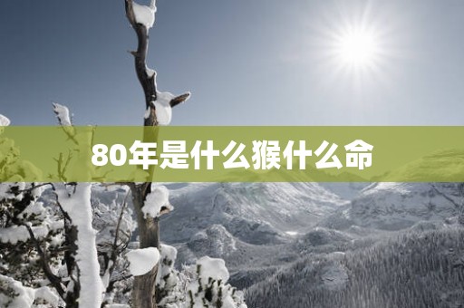 80年是什么猴什么命
