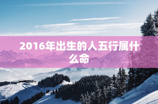 2016年出生的人五行属什么命