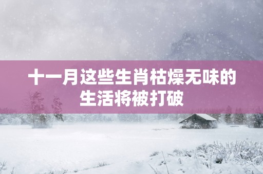 十一月这些生肖枯燥无味的生活将被打破