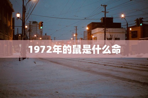 1972年的鼠是什么命