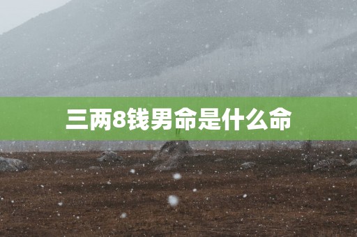 三两8钱男命是什么命