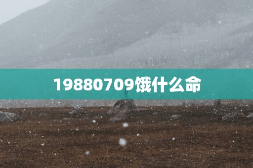 19880709饿什么命