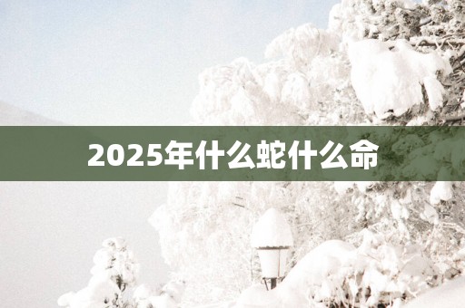 2025年什么蛇什么命