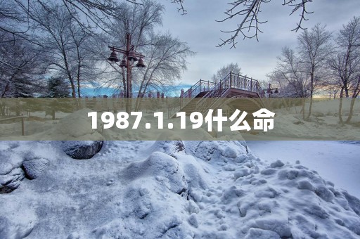 1987.1.19什么命