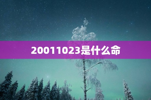 20011023是什么命