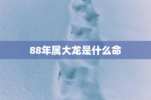 88年属大龙是什么命
