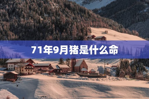 71年9月猪是什么命