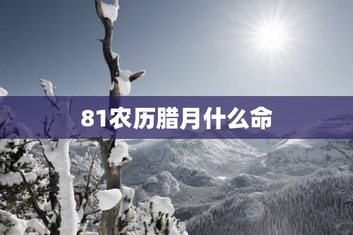 81农历腊月什么命