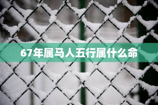 67年属马人五行属什么命