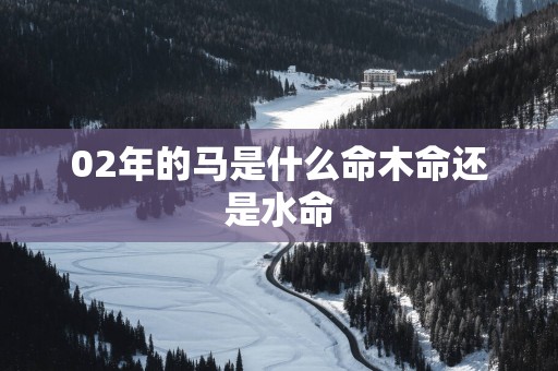 02年的马是什么命木命还是水命
