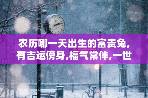 农历哪一天出生的富贵兔,有吉运傍身,福气常伴,一世一富贵!