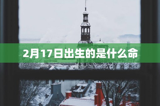 2月17日出生的是什么命