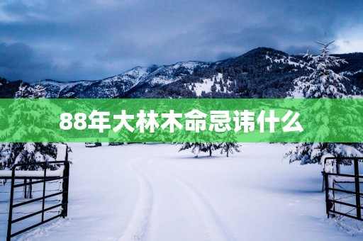88年大林木命忌讳什么