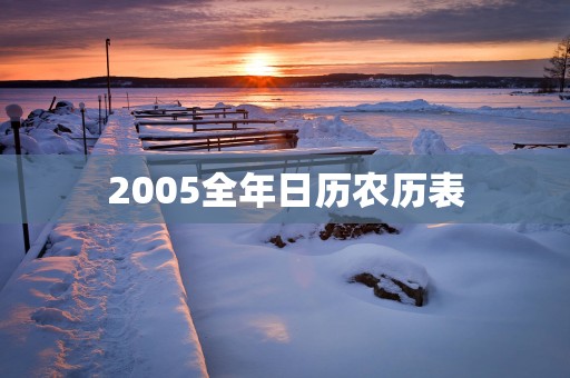 2005全年日历农历表
