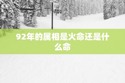 92年的属相是火命还是什么命