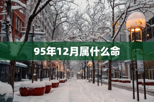 95年12月属什么命