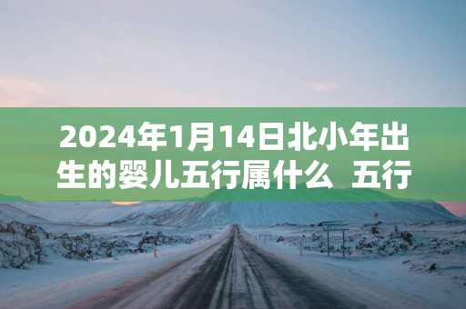 2024年1月14日北小年出生的婴儿五行属什么 五行缺什么