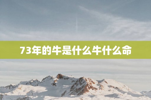 73年的牛是什么牛什么命