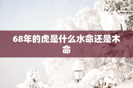 68年的虎是什么水命还是木命