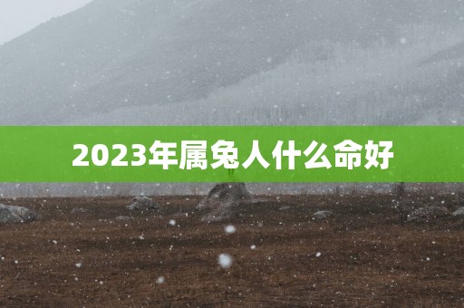 2025年属兔人什么命好
