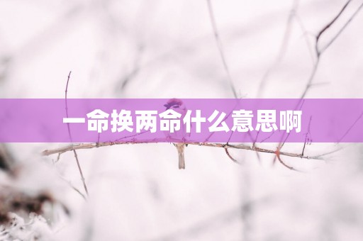 一命换两命什么意思啊