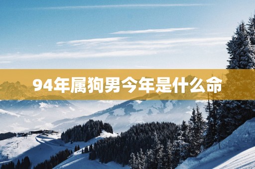 94年属狗男今年是什么命
