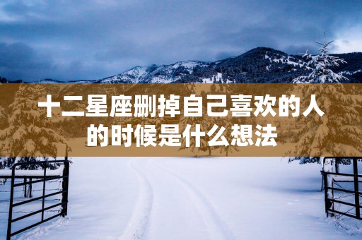 十二星座删掉自己喜欢的人的时候是什么想法
