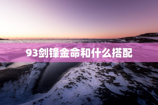 93剑锋金命和什么搭配