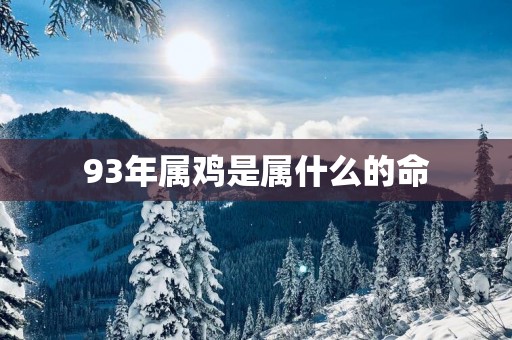 93年属鸡是属什么的命