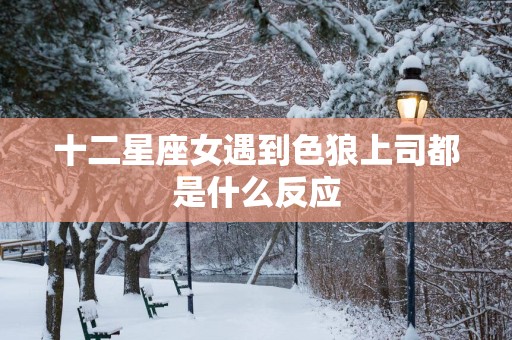 十二星座女遇到色狼上司都是什么反应
