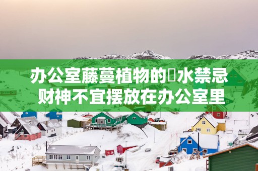 办公室藤蔓植物的風水禁忌 财神不宜摆放在办公室里