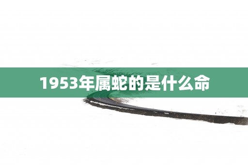 1953年属蛇的是什么命