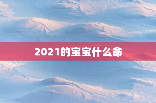 2025的宝宝什么命