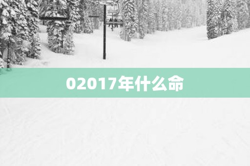 02017年什么命