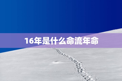 16年是什么命流年命