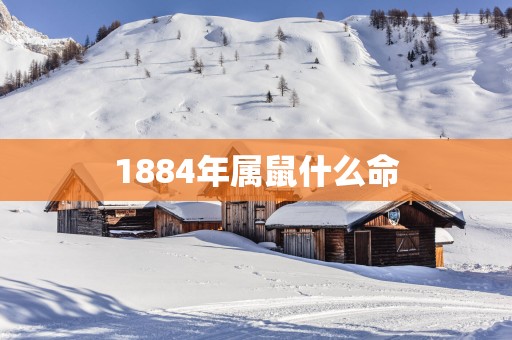1884年属鼠什么命