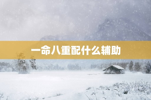 一命八重配什么辅助