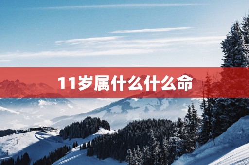 11岁属什么什么命