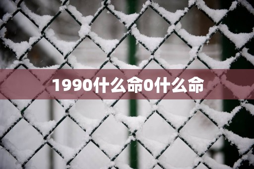 1990什么命0什么命