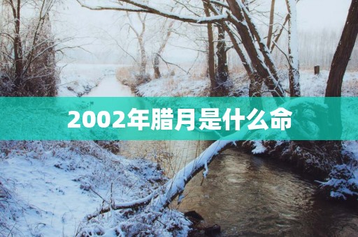 2002年腊月是什么命