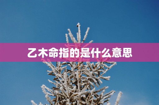 乙木命指的是什么意思