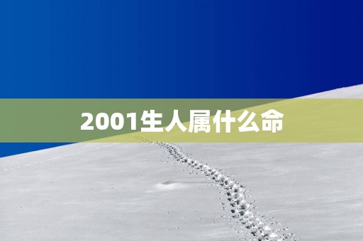 2001生人属什么命