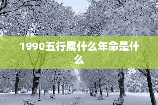 1990五行属什么年命是什么