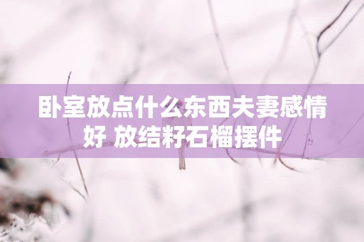 卧室放点什么东西夫妻感情好 放结籽石榴摆件