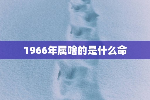 1966年属啥的是什么命